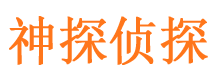 玛沁侦探公司